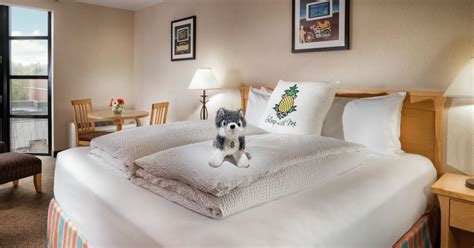 Washington King - University Inn - Seattle, WA | Staypineapple