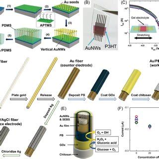 A Schematic Of Fabrication Process For Vertical Aunws Embedded In Pdms