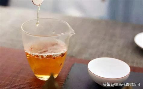 冬天适合喝什么茶是最好的 ？喝普洱茶怎么样？有什么好处？ 说明书网