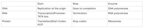 Biology 160 Final Part 4 New Information Flashcards Quizlet