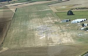 Piako Gliding Club : Glider Contests