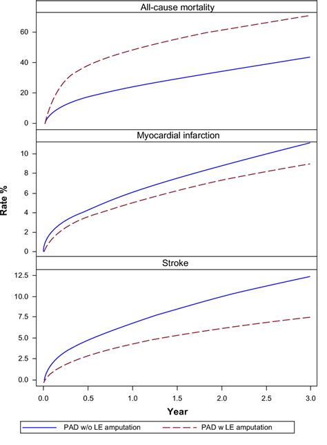 Figure 2 From Lower Extremity Amputation In Peripheral Artery Disease Improving Patient