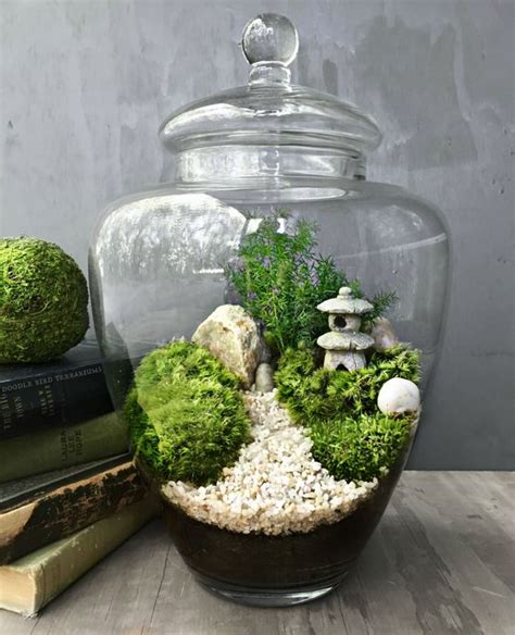 Terrário modelos e ideias para criar um mini jardim