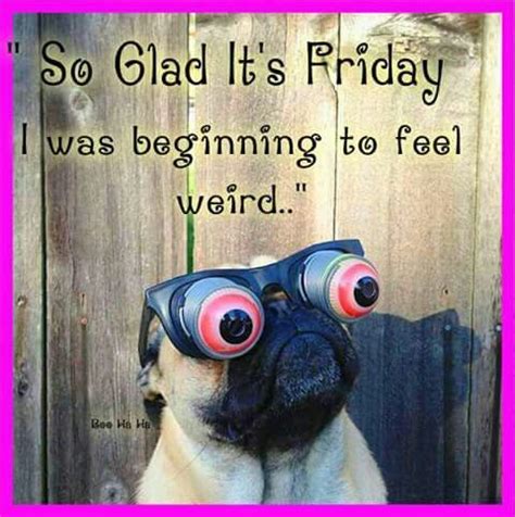 Friday / sexta More Friday Jokes, Friday Quotes Humor, Happy Friday ...