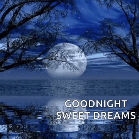 Goodnight Sweet Dreams GIF - Goodnight SweetDreams Beach - Discover & Share GIFs