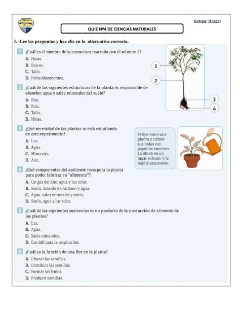 Ejercicio De La Importancia De Las Plantas Science