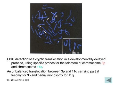 Ppt Medical Genetics Powerpoint Presentation Free Download Id 5183071