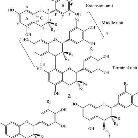 Structures Of Proanthocyanidins Polymer A Monomeric Flavan 3 Ol B