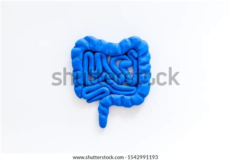 Intestines Health Guts On White Background Stock Photo Edit Now