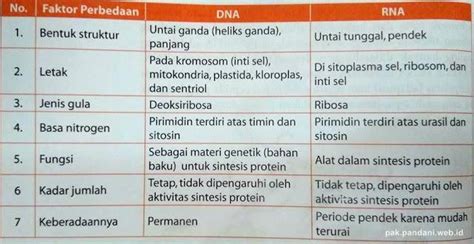 Perbedaan Dna Dan Rna Dalam Tabel