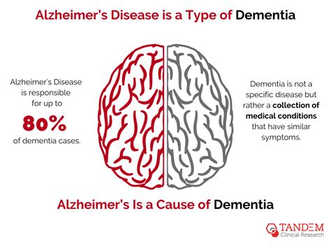 The Difference Between Alzheimers Disease And Dementia