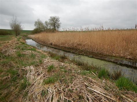 Naturbasierte Lösungen und Ökosystemleistungen biota