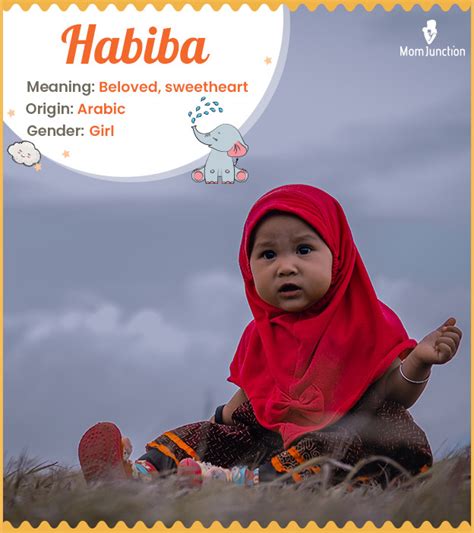 Habiba Name Meaning Origin History And Popularity