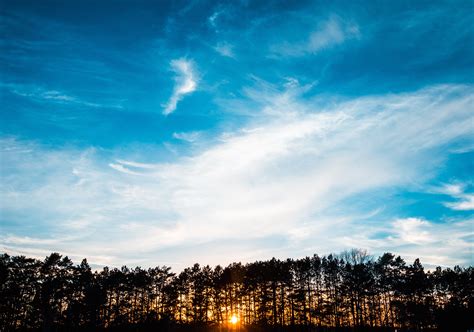 Free Images Tree Horizon Cloud Sky Sun Sunrise Sunset Sunlight