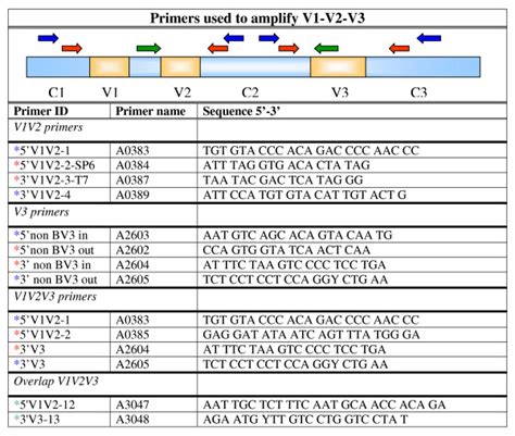 Pcr Primers Used To Amplify V V V Fragment A Display Of The Primer