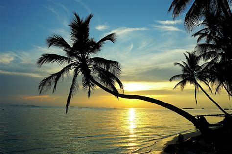 Sunrise Over Tropical Island. Digital Art by Heeb Photos