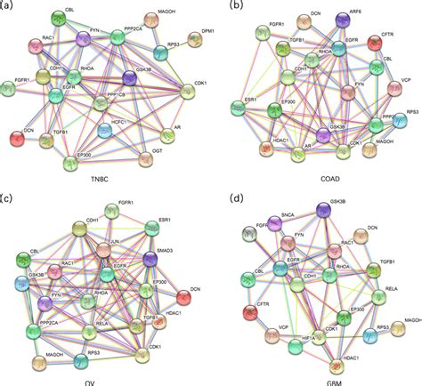 Proteinprotein Interaction Network Of 20 Shortest Path Genes For Each