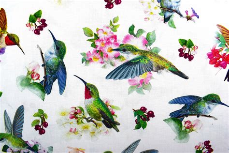 Hummingbird Fabric Quilting Fabric Cotton Fabric Etsy