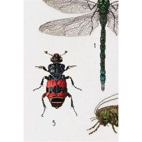 Kit Point De Croix Histoire Des Insectes Thea Gouverneur Lin Ebay