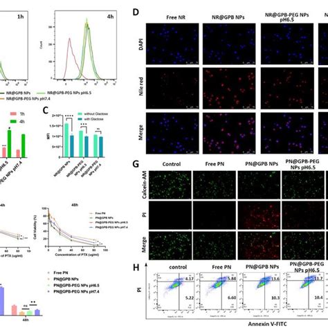 In Vitro Cellular Uptake And Cytotoxicity A B Flow Cytometry