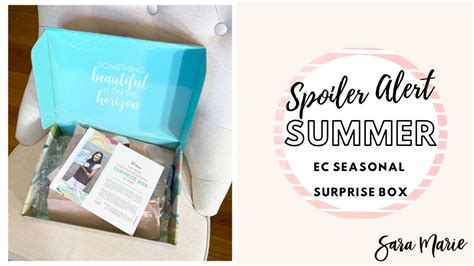 Erin Condren Summer Seasonal Surprise Box Spoiler Alert Unboxing