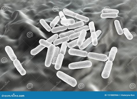 Probiotic Bacteria Bacillus Clausii Stock Illustration Illustration