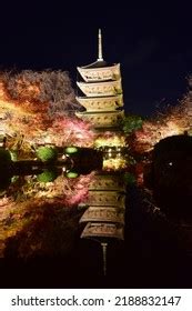 Night Scenery Toji Temple Kyoto Stock Photo 2188832147 | Shutterstock