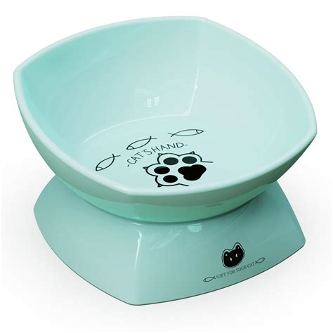 VIEWHALE Raised Cat Food Bowl(6 inches), Elevated Tilted Flat Cat Bowl, Anti-Vomit Cat Bowl for ...