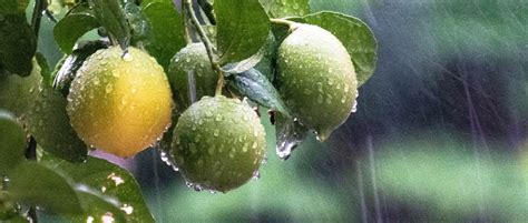 Weekend Wéi vill Reen ass ze erwaarden Météo Boulaide