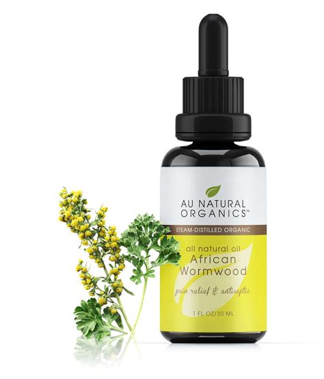 African Wormwood Oil Oz Ml Au Natural Organics