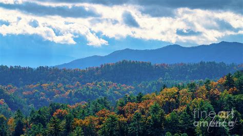 Fall Colors in Smokies Photograph by Irina Crook - Fine Art America