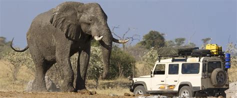 mother nature: Chobe National Park, Botswana