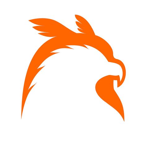 Guests love libertys owl and raptor centre conservation work 4