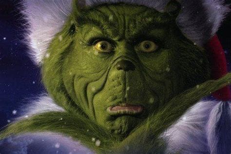 Molly Shannon Grinch