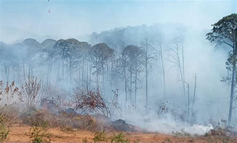 Se incendia bosque en la carretera libre Uruapan Pátzcuaro Quadratín