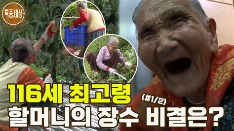 특종세상 116세 우리나라 최고령 할머니의 장수 비결은 Mbn 190913 방송 12 Youtube