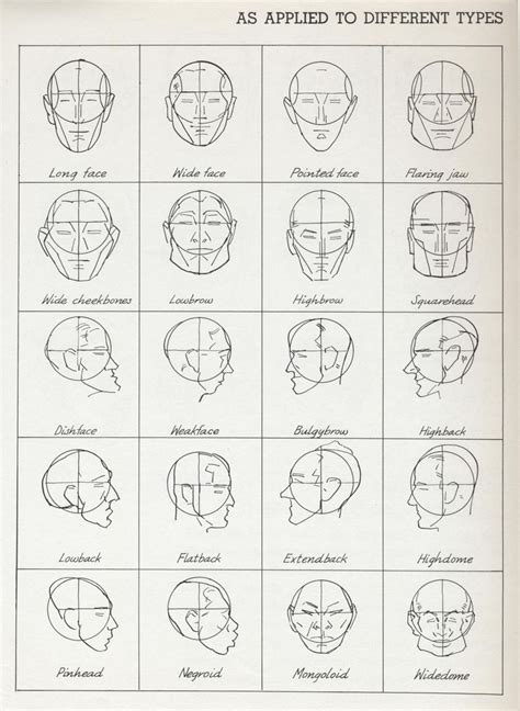 Pin By Character Design References On Character Anatomy Head Character Design References