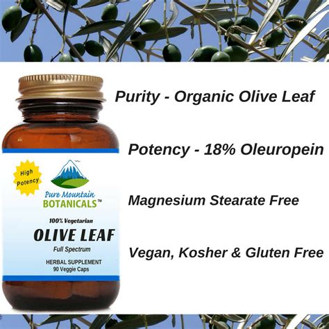 Looking for High Potency Organic Olive Leaf Capsules? – Pure Mountain Botanicals