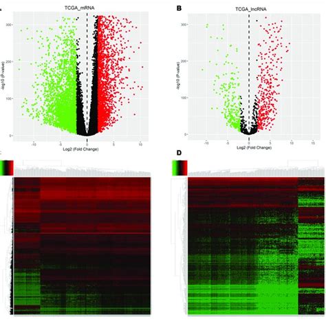 Identification Of Demrnas And Delncrnas For All Volcano Plot Showing