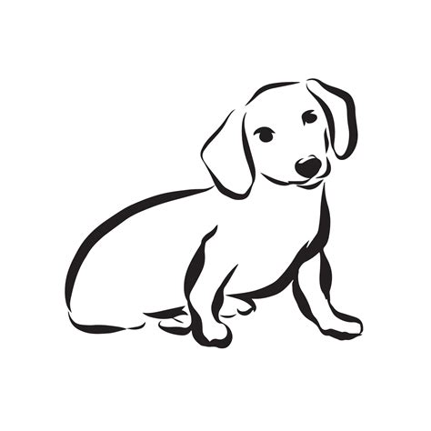 Dachshund Outline Vector Art Icons And Graphics For Free Download