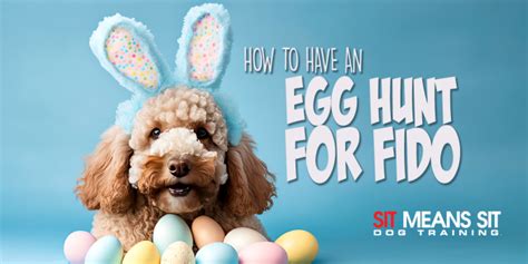 How To Organize The Perfect Easter Egg Hunt For Fido Sms