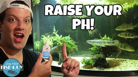 How To Raise Ph In Aquarium Youtube