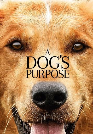 A Dog's Purpose - Movies on Google Play