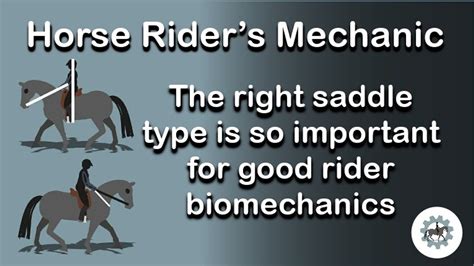 Which Saddle Type Is Best For Good Rider Biomechanics