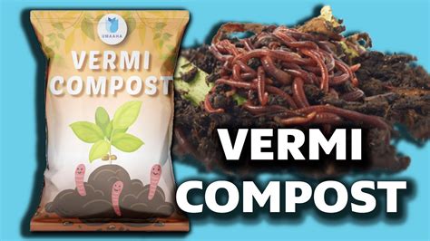 What Is Vermicompost Benefits Of Vermicompost Complete Information