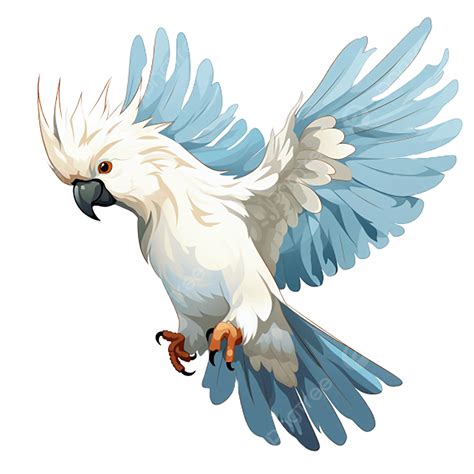 Cacatua Pássaro Clipart Fundo Transparente PNG Cacatua Clipart De