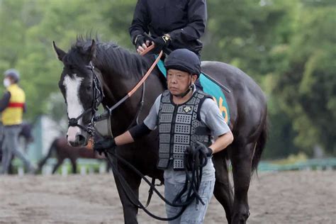 【今週の注目新馬】シュトラウスは母がgi勝ち馬 武井亮調教師も自信満々｜競馬ニュース｜競馬予想のウマニティ