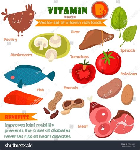 Vitamins Minerals Foods Illustrator Set 8vector Stock Vector Royalty