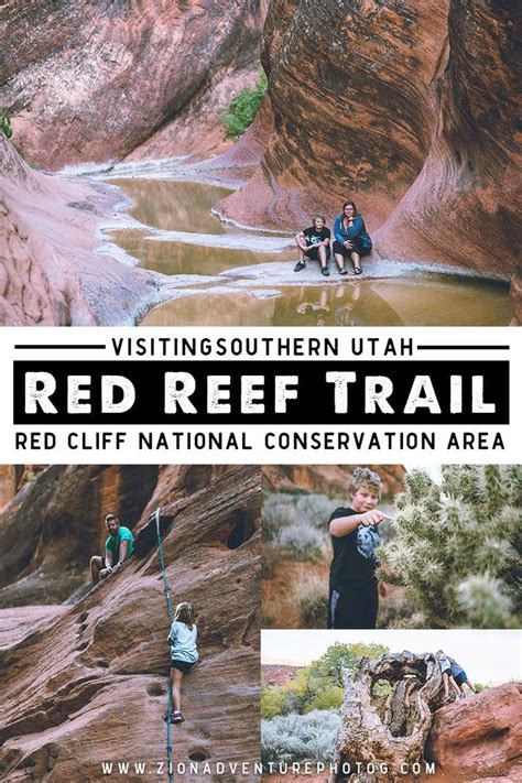 Hiking The Red Reef Trail Southern Utah Artofit