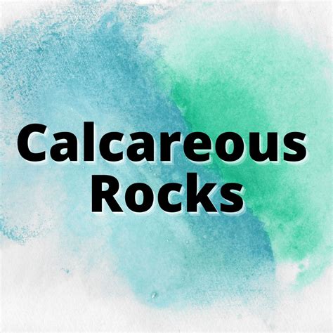 Calcareous Rocks Examples (Characteristics and Types) - Yes Dirt